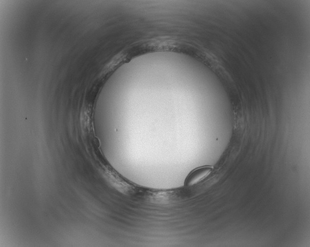 X0000080710382200701021035