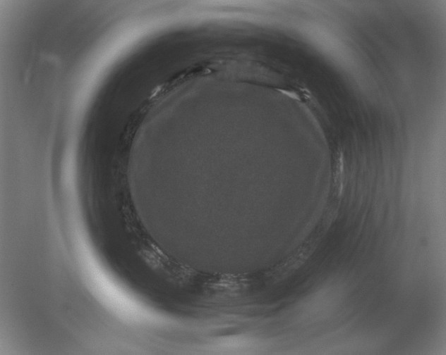 X0000080710383200701021035