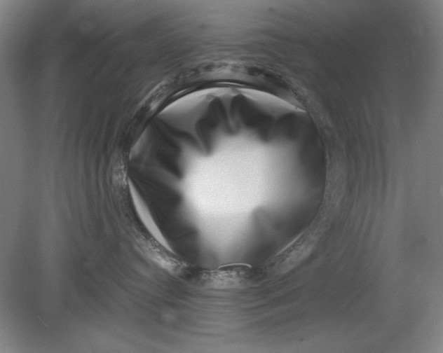 X0000080710384200701021035