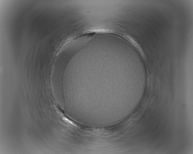 X0000080710385200701021034