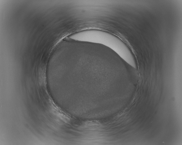 X0000080710386200701021034