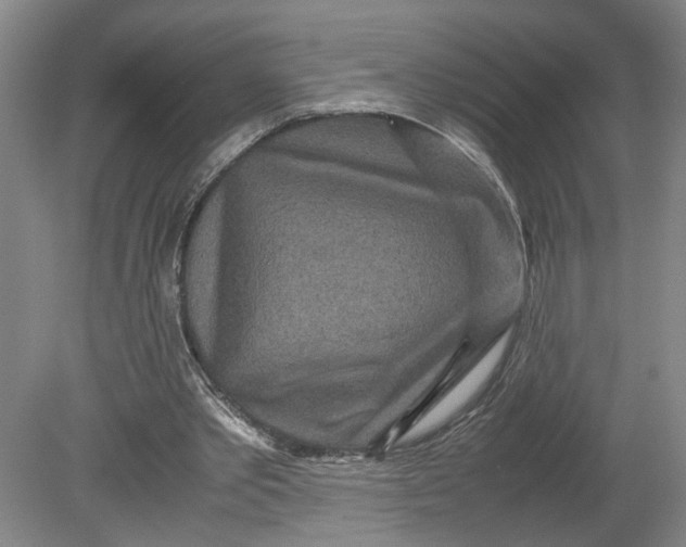 X0000080710389200701021034