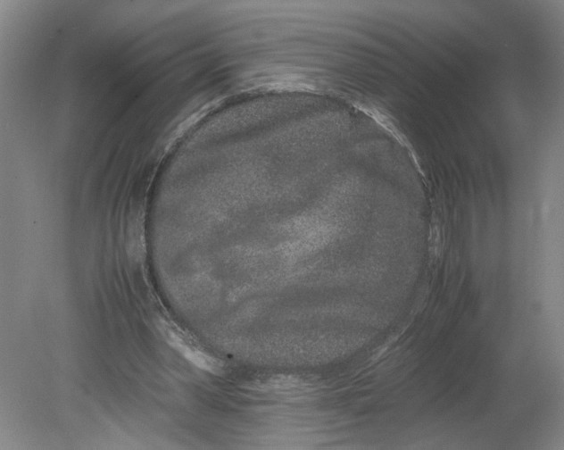 X0000080710390200701021034