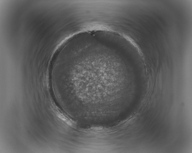 X0000080710391200701021034