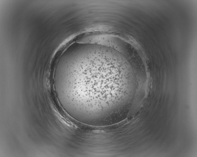 X0000080710392200701021034