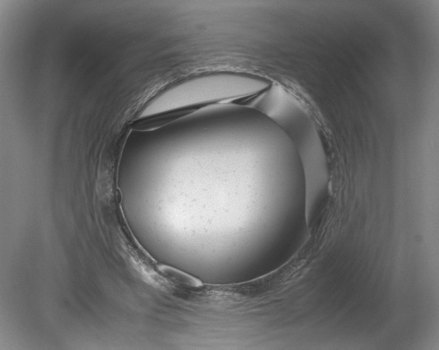 X0000080710393200701021034