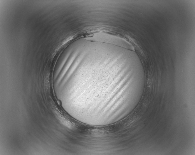 X0000080710394200701021034