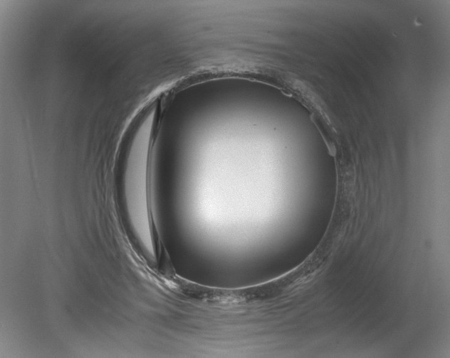 X0000080710395200701021034