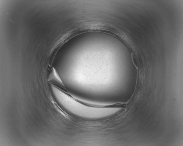 X0000080710397200701021034