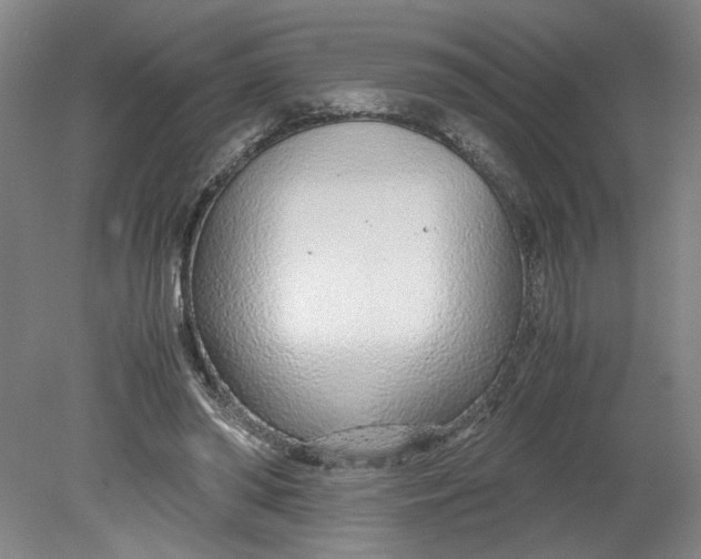 X0000080710398200701021034