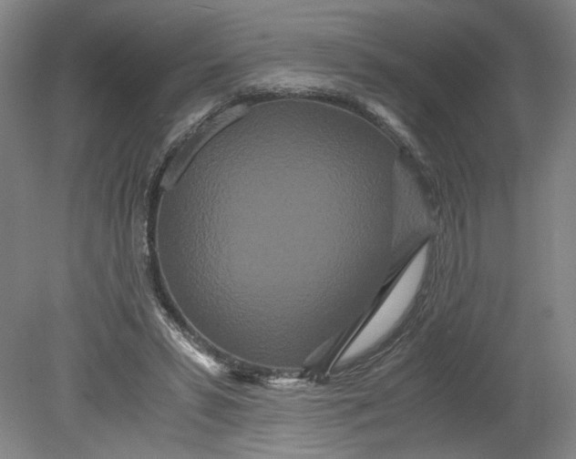 X0000080710399200701021034