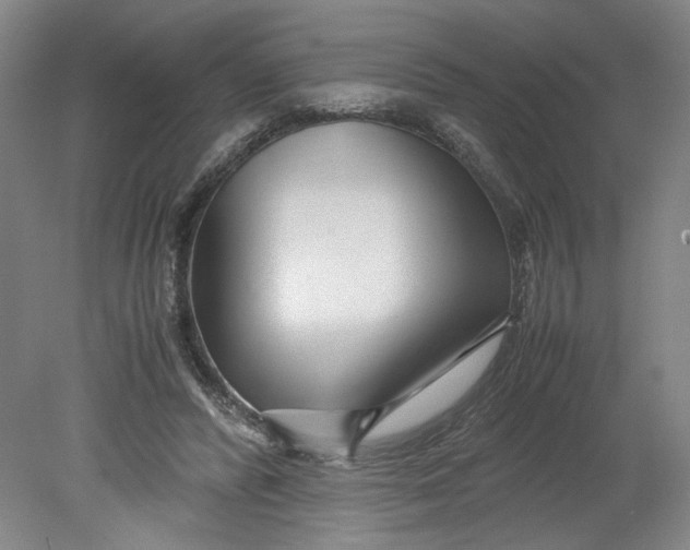 X0000080710400200701021034