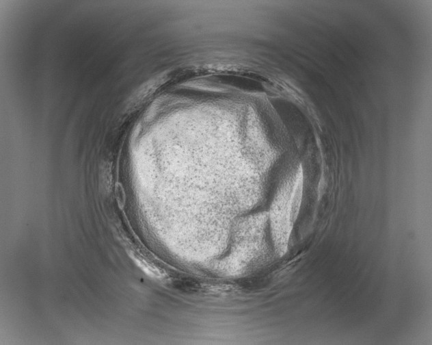 X0000080710401200701021034