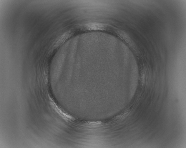 X0000080710402200701021033