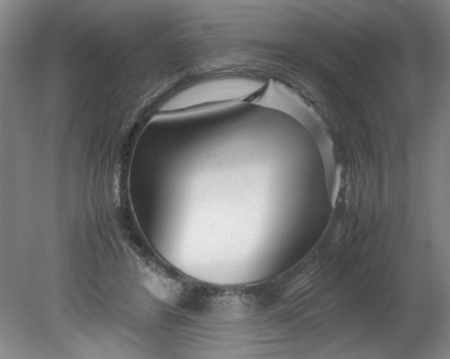 X0000080710404200701021033