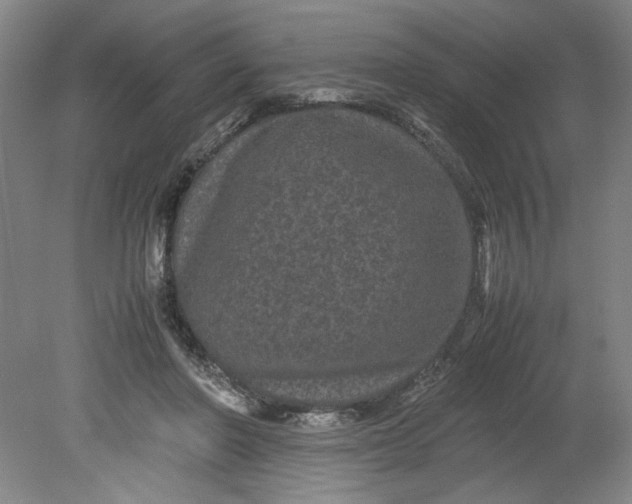 X0000080710406200701021033