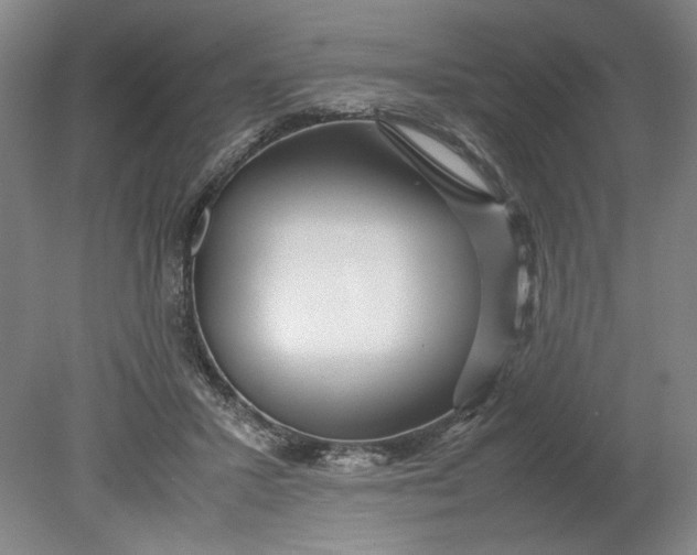 X0000080710407200701021033