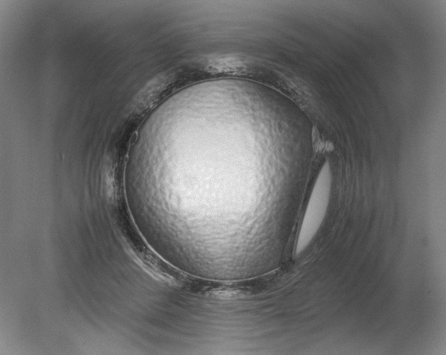 X0000080710408200701021033