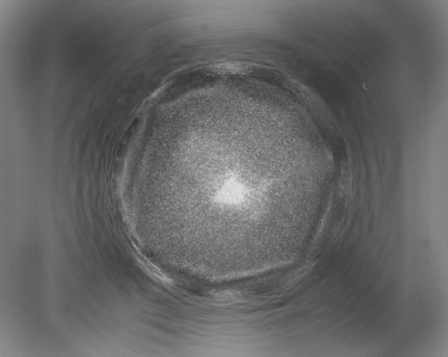 X0000080710409200701021033