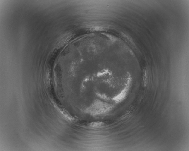 X0000080710410200701021033