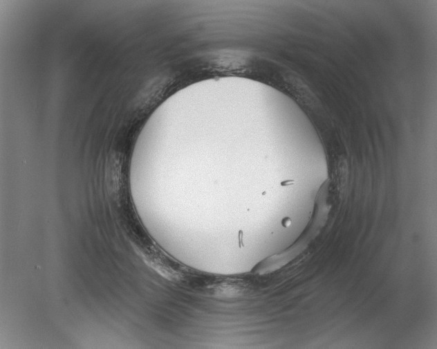 X0000080710412200701021033