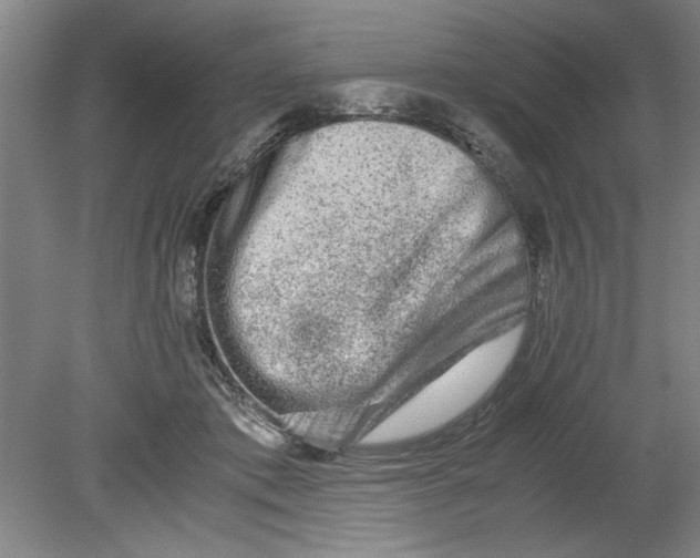 X0000080710413200701021033