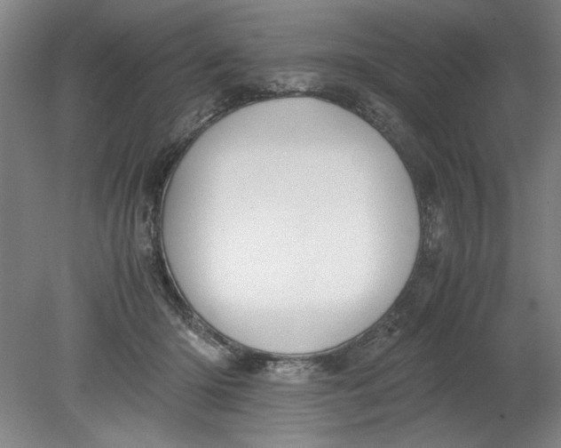 X0000080710414200701021033