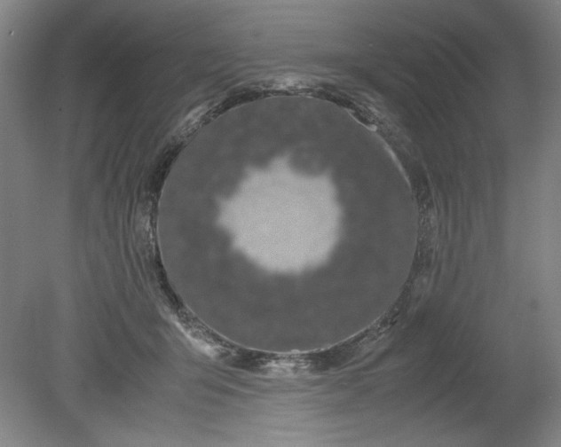 X0000080710415200701021033