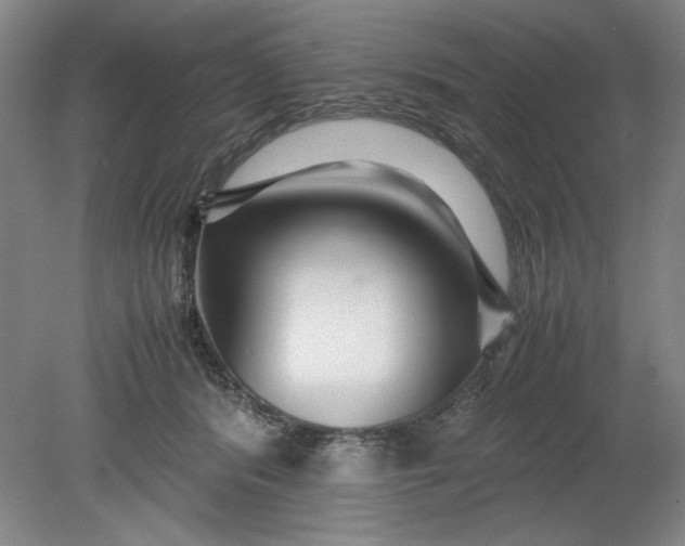 X0000080710416200701021033