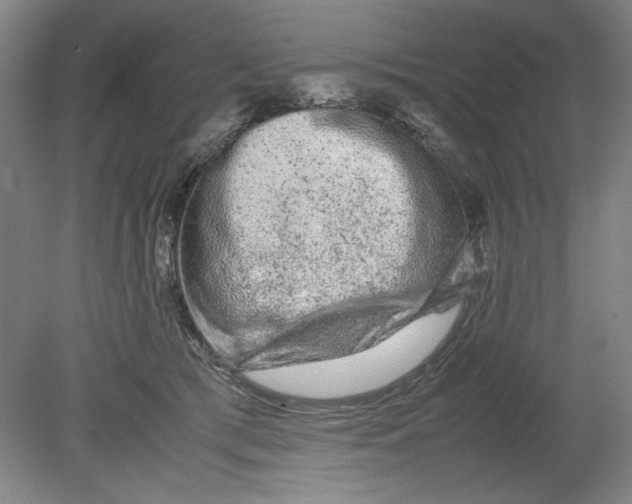 X0000080710417200701021033