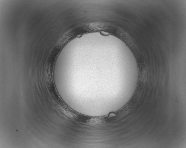 X0000080710418200701021033