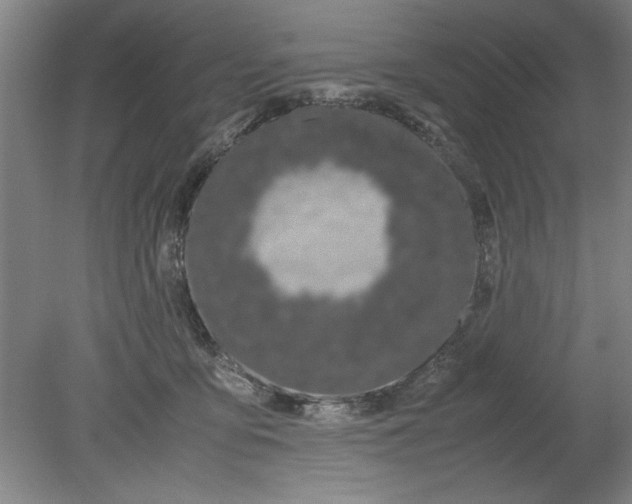 X0000080710419200701021033