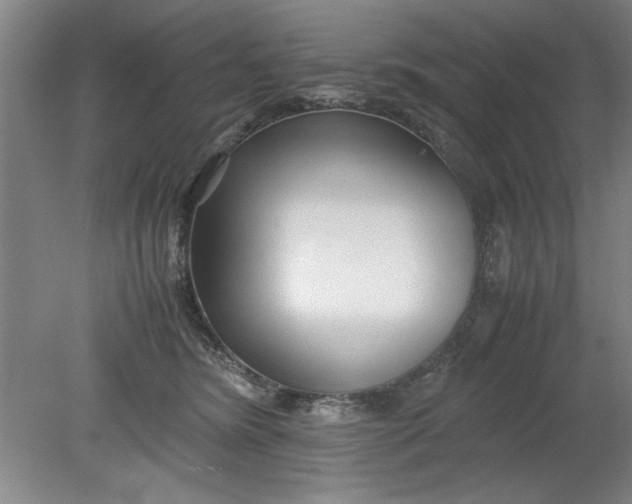 X0000080710420200701021033