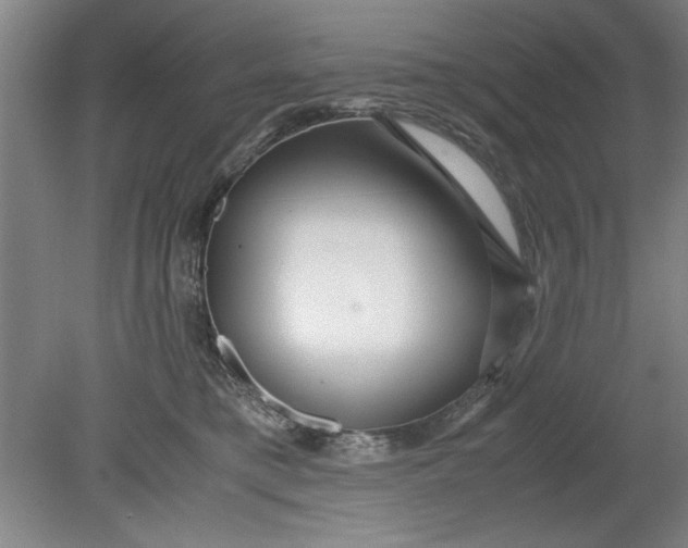 X0000080710421200701021033