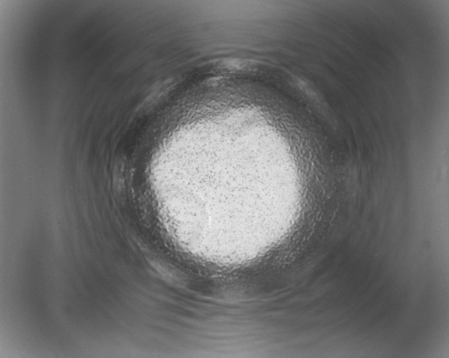 X0000080710423200701021033