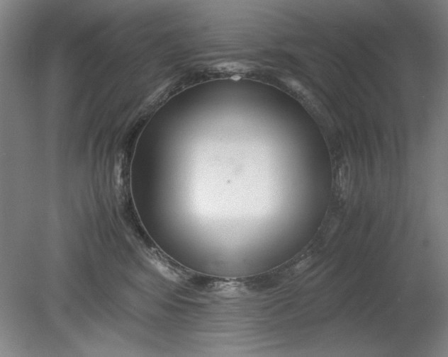 X0000080710424200701021033