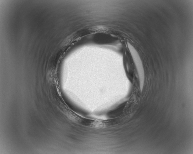 X0000080710425200701021033