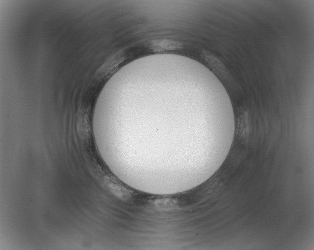 X0000080710426200701021033