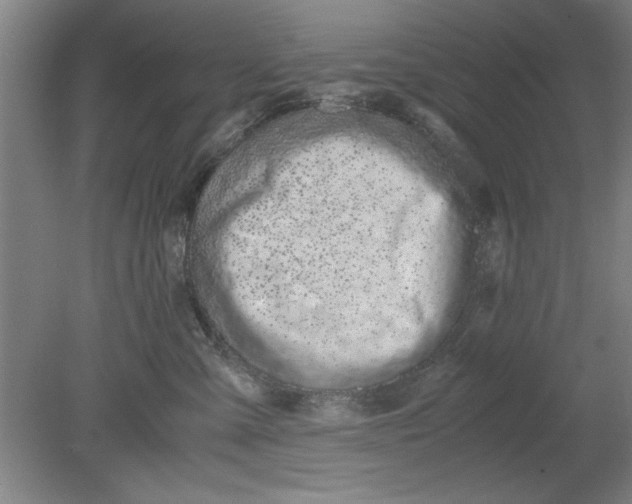 X0000080710427200701021033