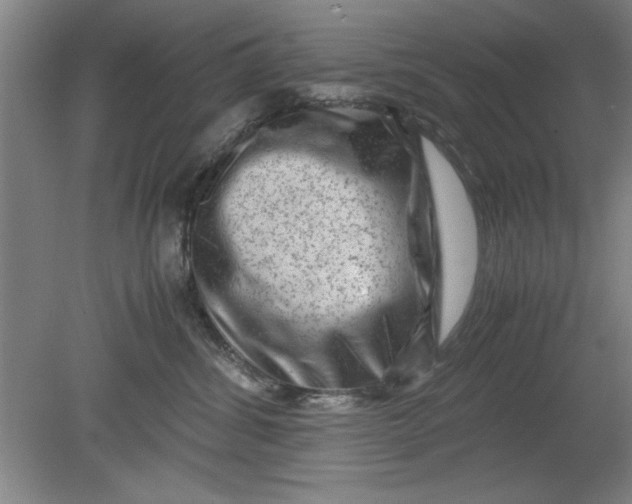 X0000080710428200701021033