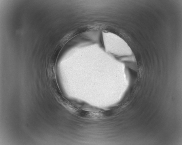 X0000080710429200701021033