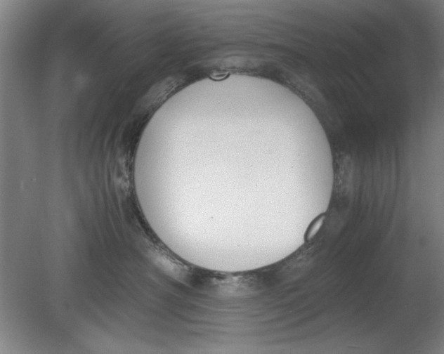 X0000080710430200701021033