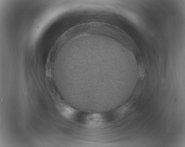 X0000080710431200701021033