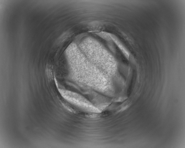 X0000080710432200701021033