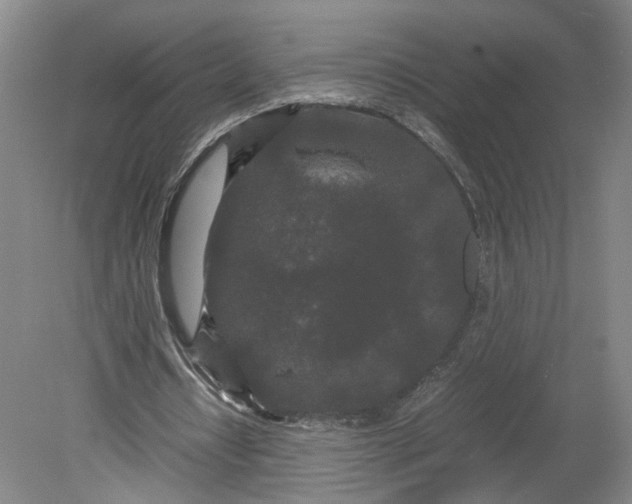 X0000080710434200701021032