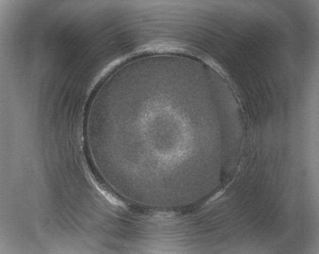 X0000080710438200701021032