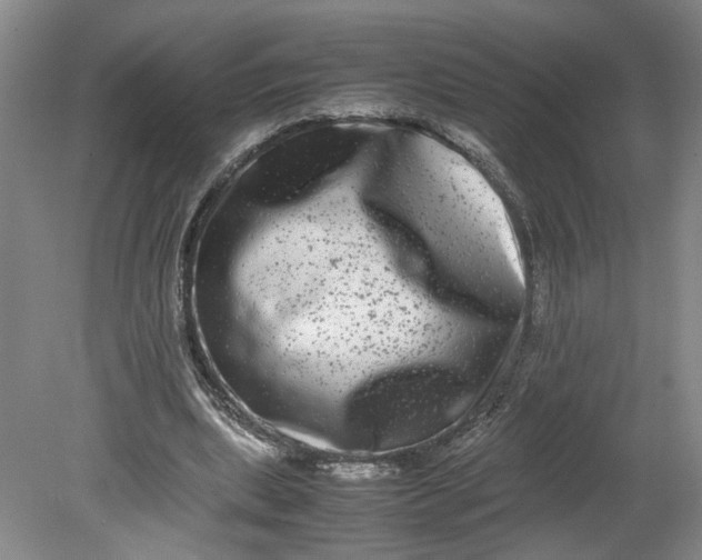 X0000080710439200701021032