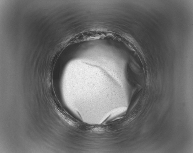 X0000080710441200701021032