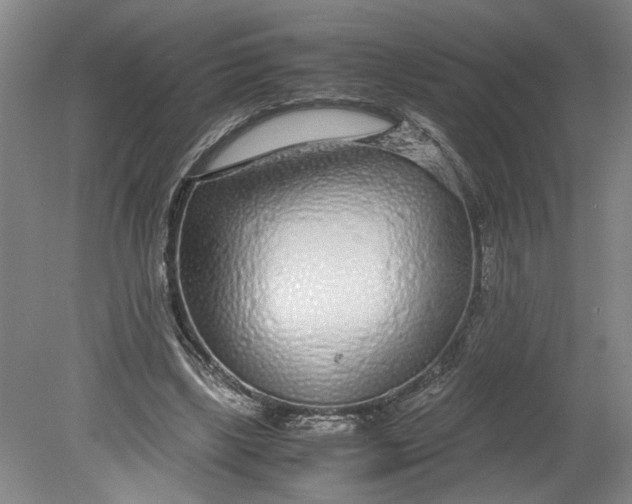 X0000080710443200701021032