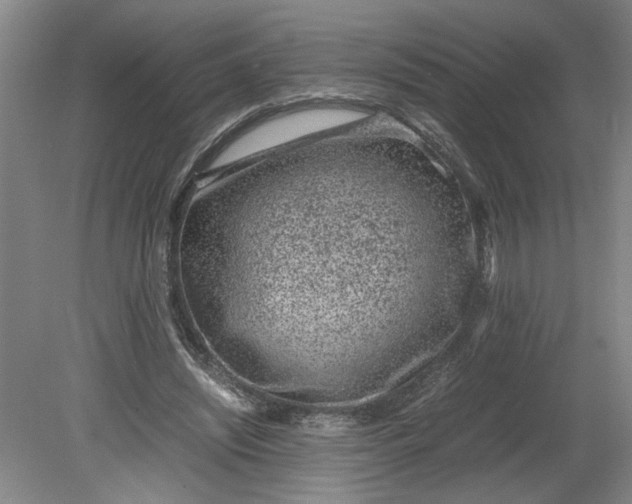 X0000080710444200701021032